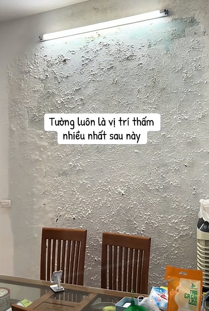 - Ảnh 8. - Ảnh 8.