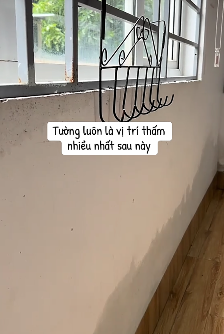 - Ảnh 7. - Ảnh 7.