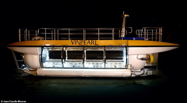  - Ảnh 2.