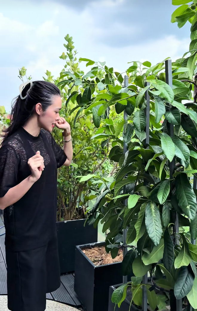 Khu vườn ở TP.HCM của Diệp Bảo Ngọc - Ảnh 10.