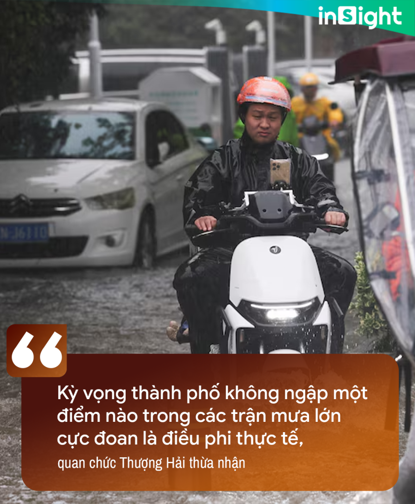  - Ảnh 3.