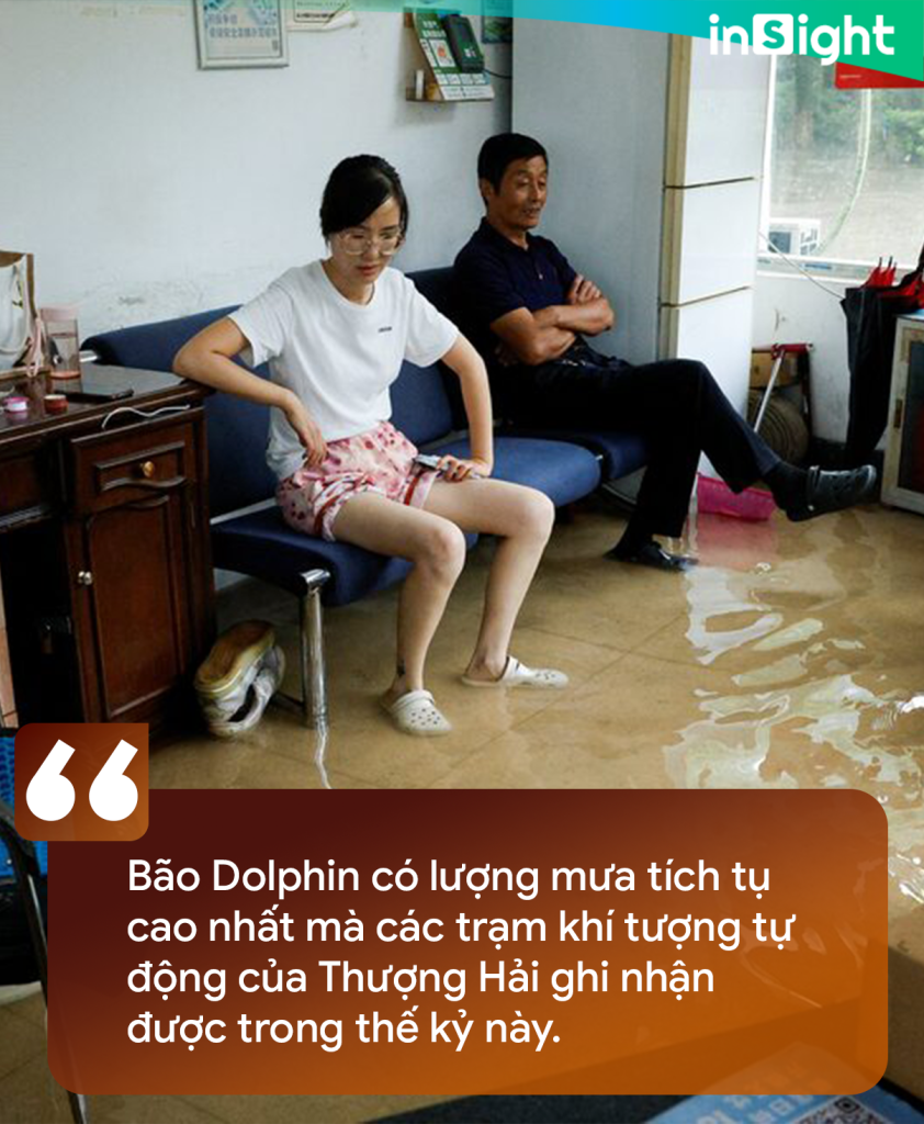  - Ảnh 1.