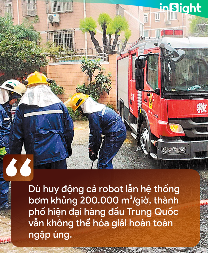  - Ảnh 2.