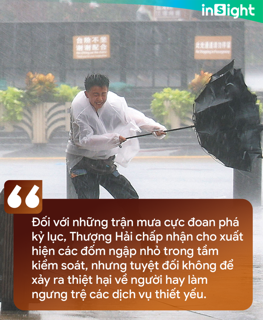  - Ảnh 4.