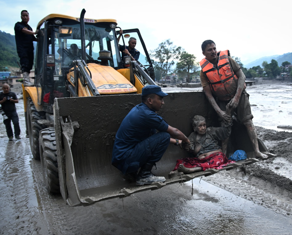 - Ảnh 4. - Ảnh 4.