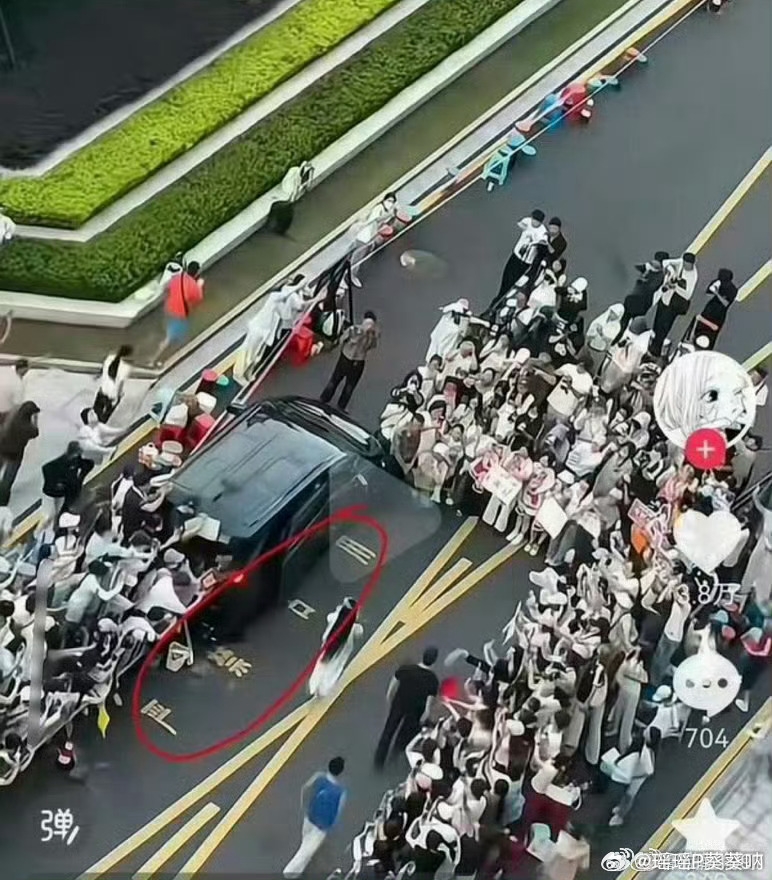  - Ảnh 1.