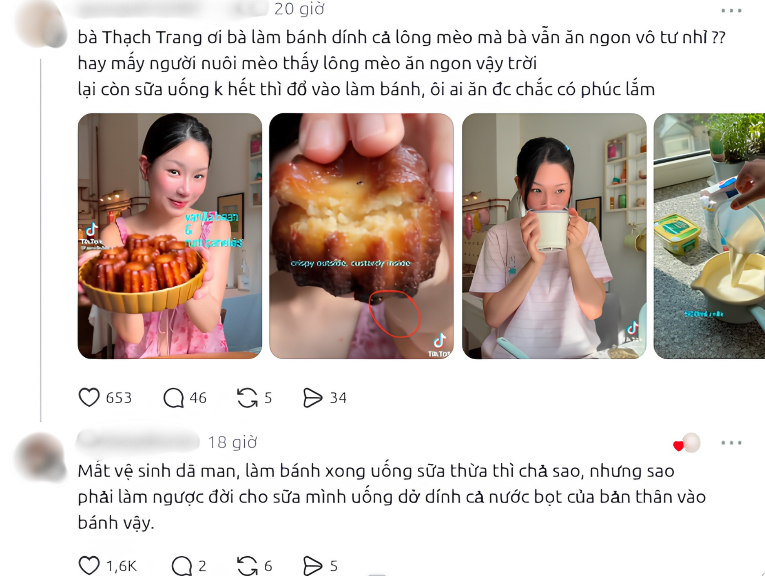 Thạch Trang nghi l&agrave;m b&aacute;nh đem tặng từ sữa uống dở, th&agrave;nh phẩm d&iacute;nh l&ocirc;ng m&egrave;o: Phản ứng g&igrave; giữa tranh c&atilde;i?- Ảnh 2.