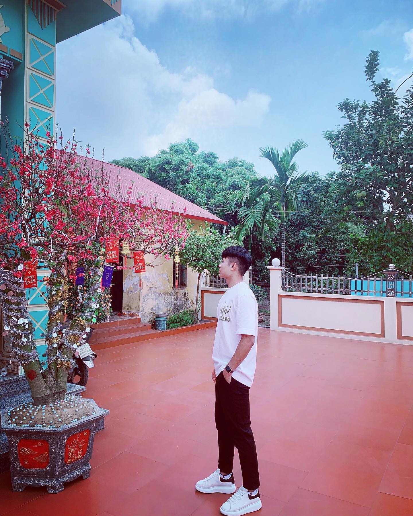 - Ảnh 6. - Ảnh 6.