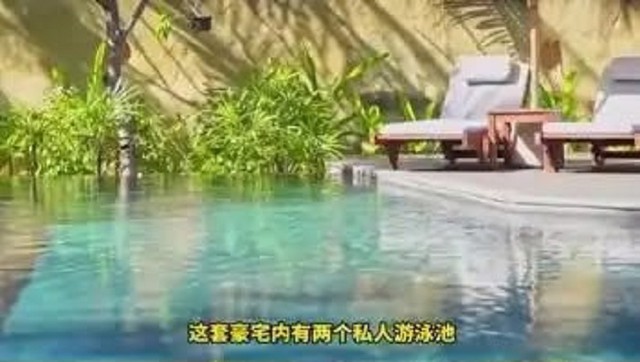 Căn biệt thự xa hoa như cung điện nhưng chỉ để nuôi thú cưng của Lâm Thanh Hà - Ảnh 3. Căn biệt thự xa hoa như cung điện nhưng chỉ để nuôi thú cưng của Lâm Thanh Hà - Ảnh 3.