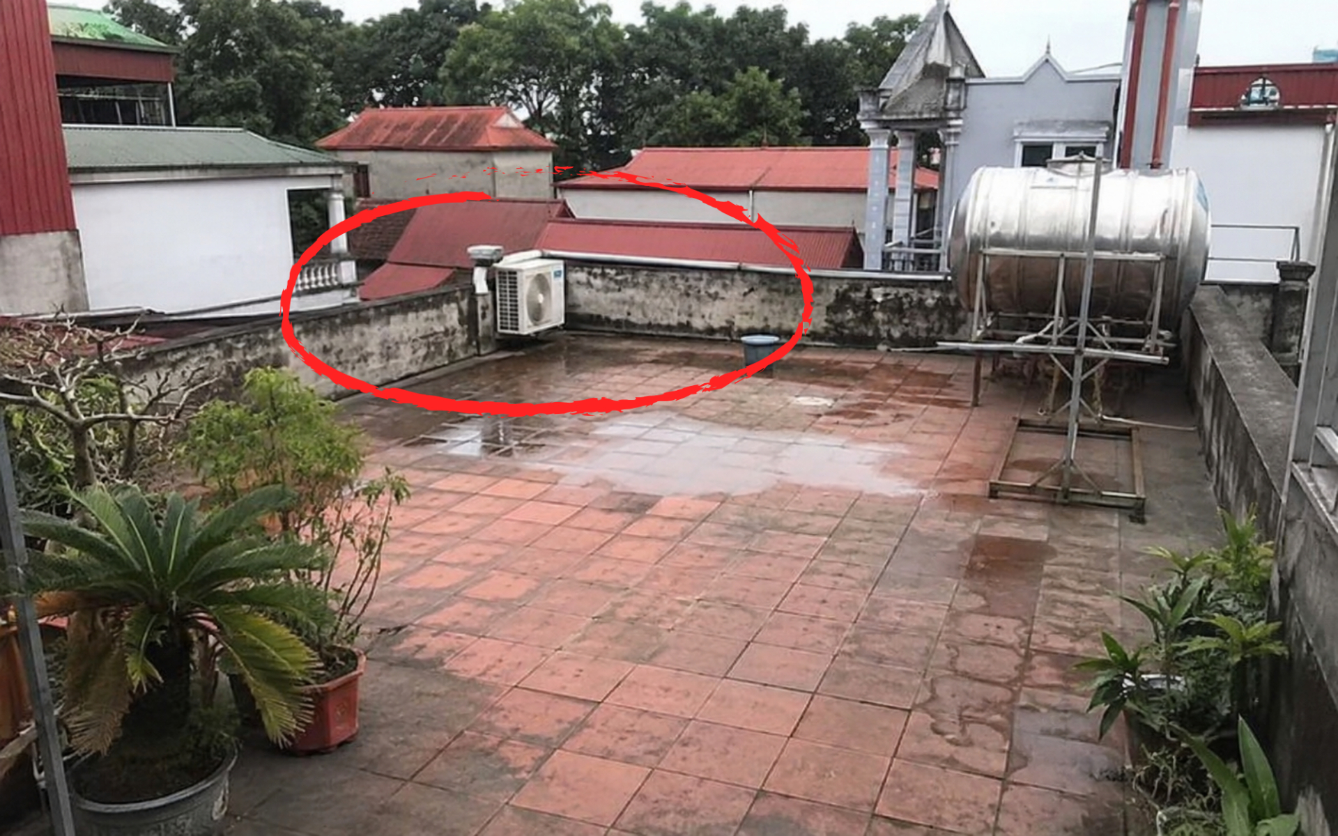  - Ảnh 1.