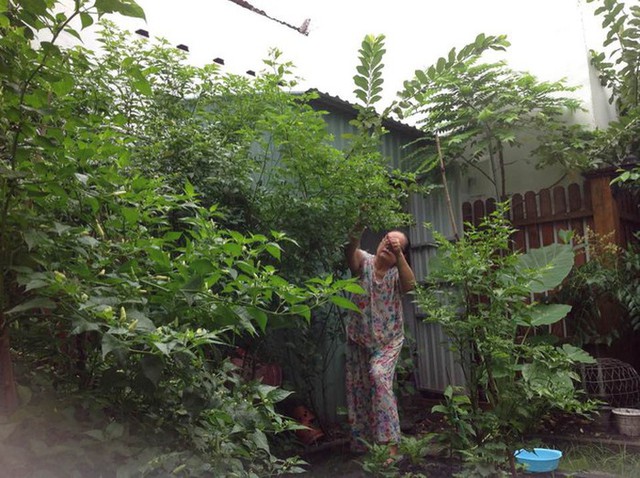 Căn nhà của bố mẹ ruột Tăng Thanh Hà - Ảnh 1. Căn nhà của bố mẹ ruột Tăng Thanh Hà - Ảnh 1.