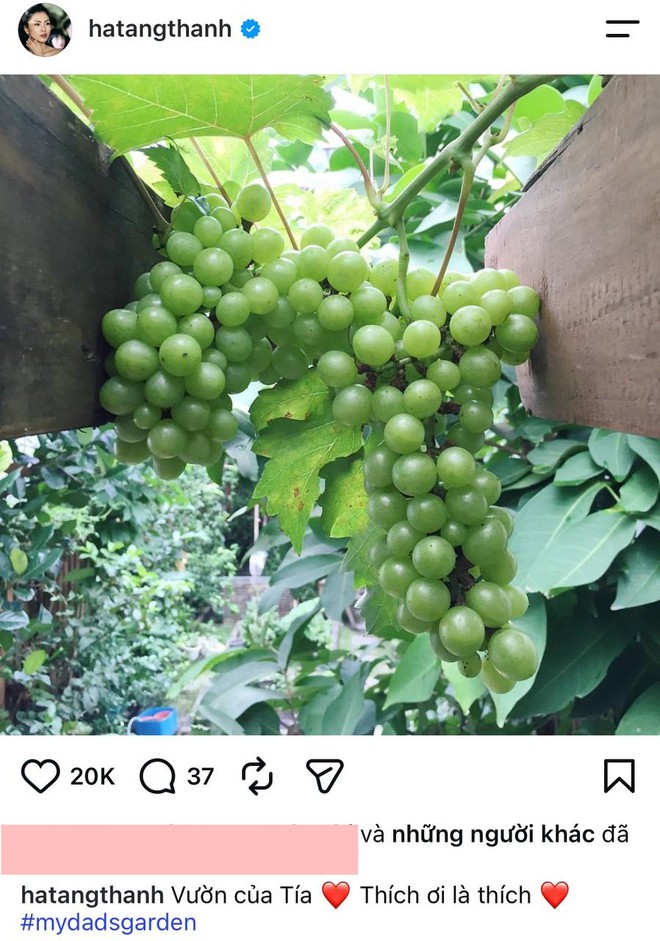Căn nhà của bố mẹ ruột Tăng Thanh Hà - Ảnh 3. Căn nhà của bố mẹ ruột Tăng Thanh Hà - Ảnh 3.