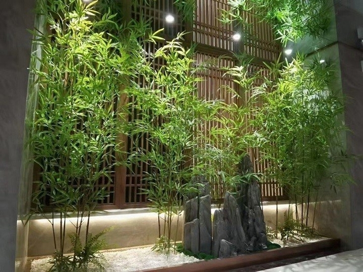 Chọn đ&uacute;ng loại c&acirc;y trồng lối đi s&acirc;n vườn kh&ocirc;ng chỉ gi&uacute;p định h&igrave;nh kh&ocirc;ng gian, che đi những viền th&ocirc; cứng m&agrave; c&ograve;n n&acirc;ng tầm thẩm mỹ cho to&agrave;n bộ ng&ocirc;i nh&agrave;. - Ảnh 4.