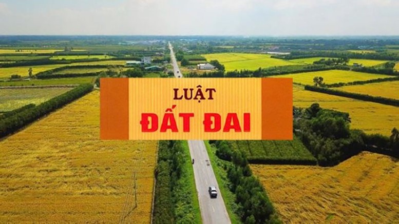  - Ảnh 1.