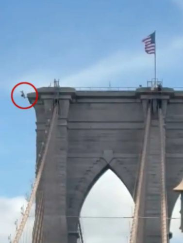 Khoảnh khắc sốc: Người đ&agrave;n &ocirc;ng đột ngột nhảy xuống từ đỉnh cầu Brooklyn (New York) tr&ecirc;n độ cao 85 m&eacute;t - Ảnh 3.