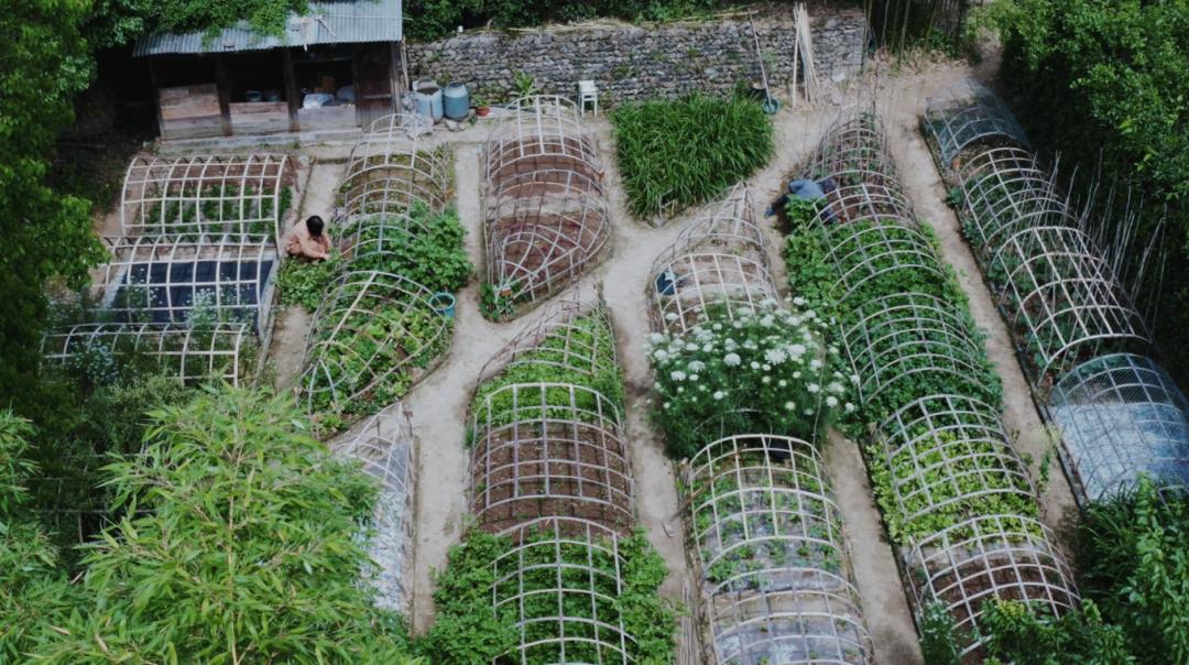 Bỏ việc ở tuổi 40, cặp vợ chồng kỹ sư về quê cải tạo nhà cổ - Ảnh 17. Bỏ việc ở tuổi 40, cặp vợ chồng kỹ sư về quê cải tạo nhà cổ - Ảnh 17.