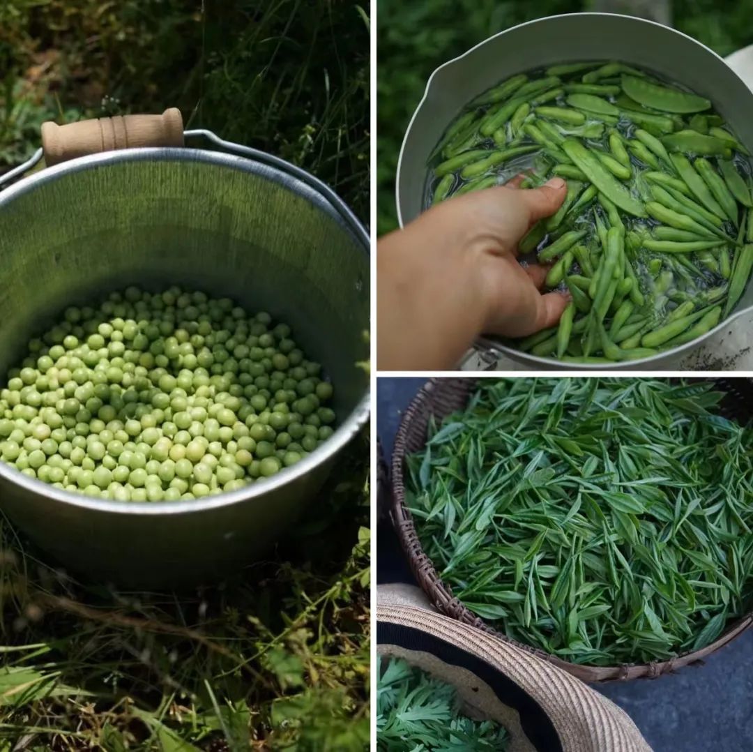 Bỏ việc ở tuổi 40, cặp vợ chồng kỹ sư về quê cải tạo nhà cổ - Ảnh 7. Bỏ việc ở tuổi 40, cặp vợ chồng kỹ sư về quê cải tạo nhà cổ - Ảnh 7.