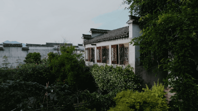 Bỏ việc ở tuổi 40, cặp vợ chồng kỹ sư về quê cải tạo nhà cổ - Ảnh 15. Bỏ việc ở tuổi 40, cặp vợ chồng kỹ sư về quê cải tạo nhà cổ - Ảnh 15.
