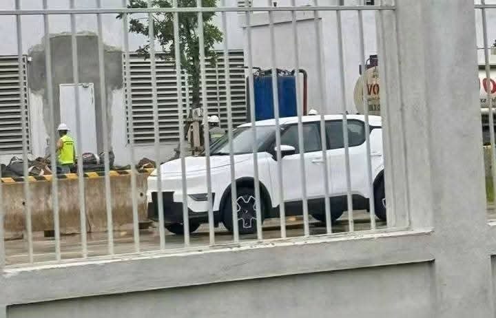 - Ảnh 1. - Ảnh 1.