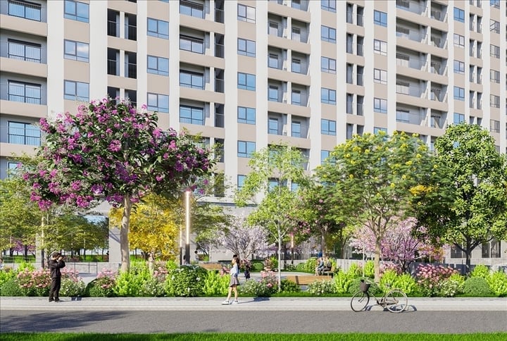 Chi tiết nhà ở xã hội mới tại Hà Nội, giá hơn 28 triệu đồng/m² - Ảnh 10.