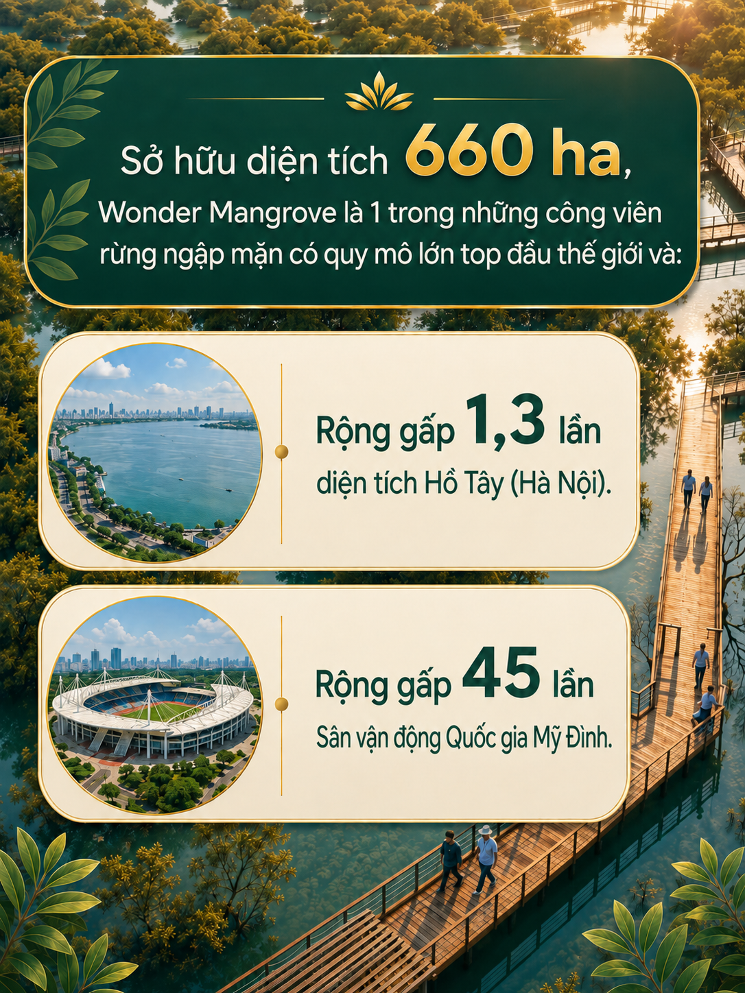 Việt Nam sẽ có công viên câu cá rừng ngập mặn hiếm có trên thế giới, rộng gấp 45 lần sân Mỹ Đình - Ảnh 1.