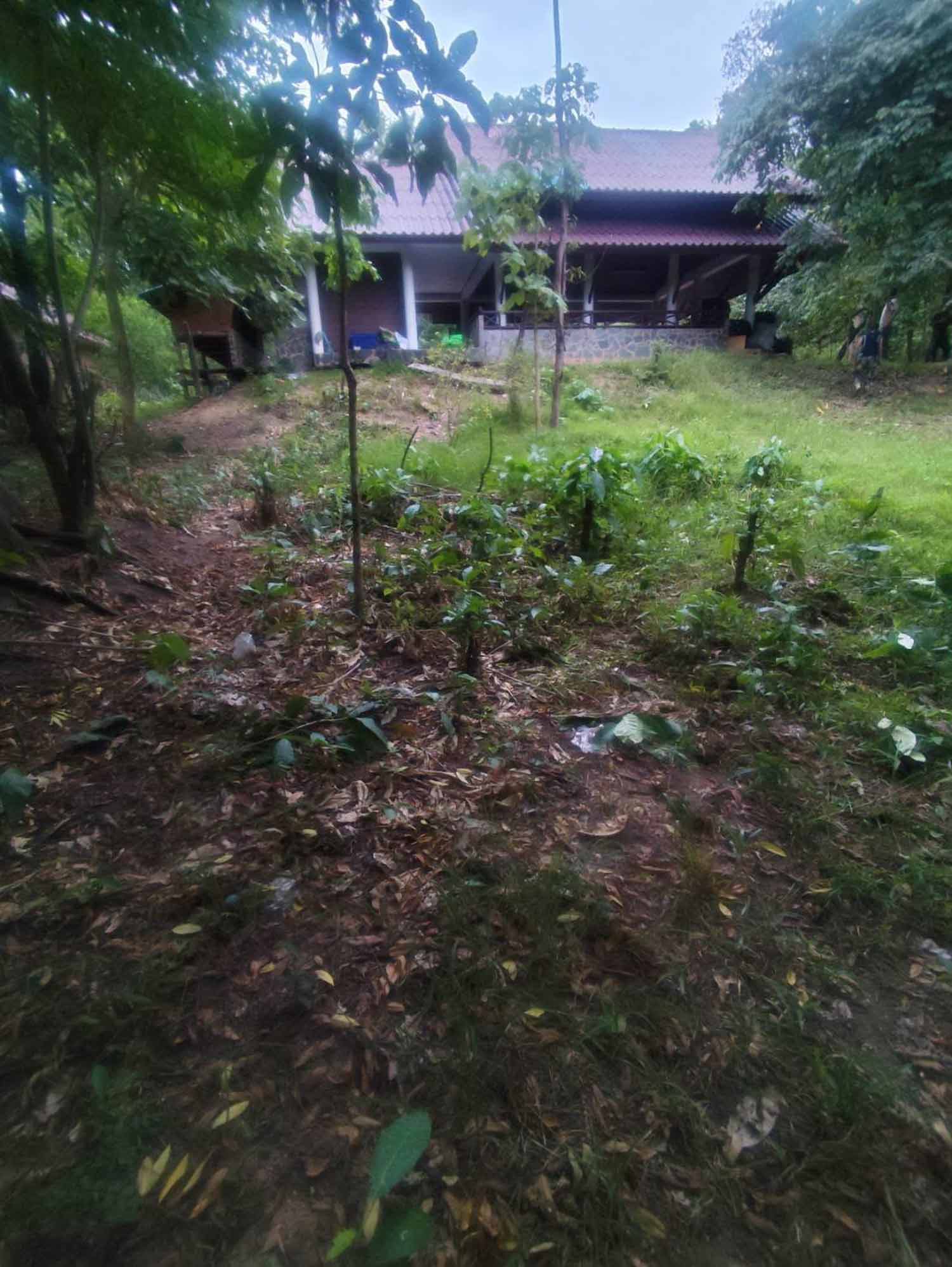 Kiểm lâm bị hổ tấn công tại khu bảo tồn động vật hoang dã - Ảnh 1. Kiểm lâm bị hổ tấn công tại khu bảo tồn động vật hoang dã - Ảnh 1.