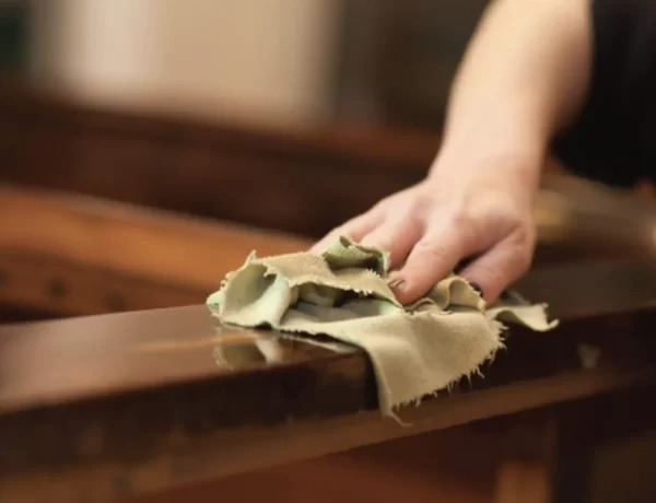 Pha bắt mọt gỗ đỉnh cao gi&uacute;p d&acirc;n t&igrave;nh được khai s&aacute;ng: Ho&aacute; ra sinh vật n&agrave;y c&oacute; h&igrave;nh th&ugrave; kh&ocirc;ng như ch&uacute;ng ta tưởng - Ảnh 2.