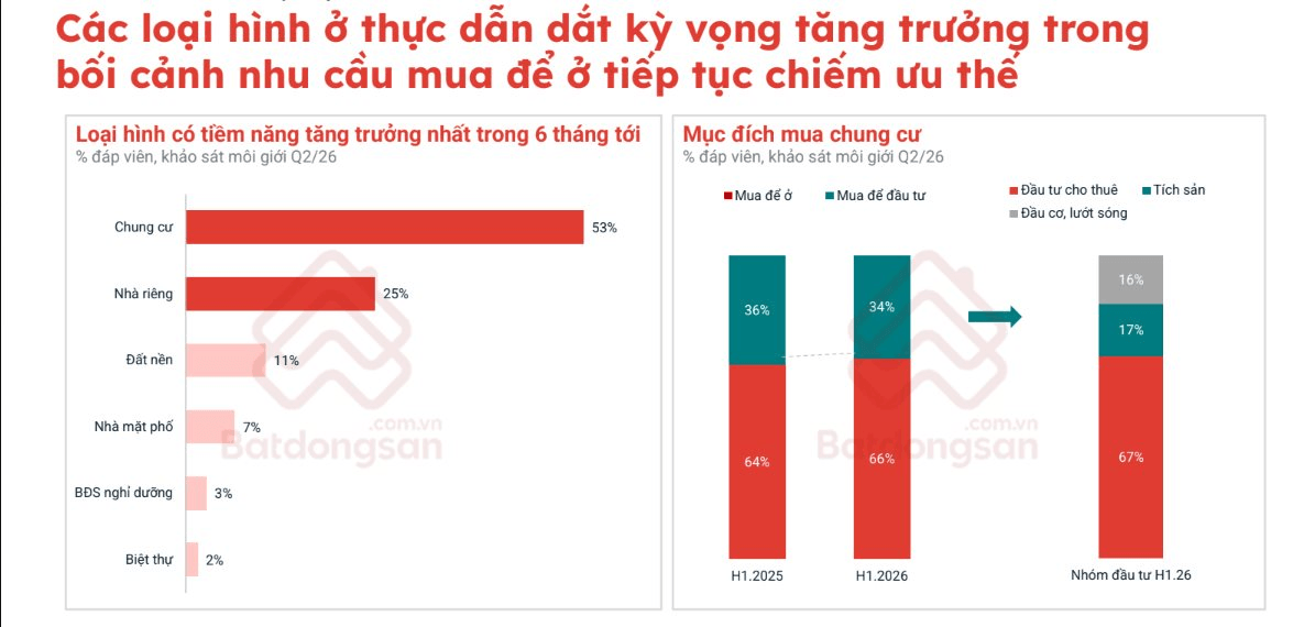  - Ảnh 3.