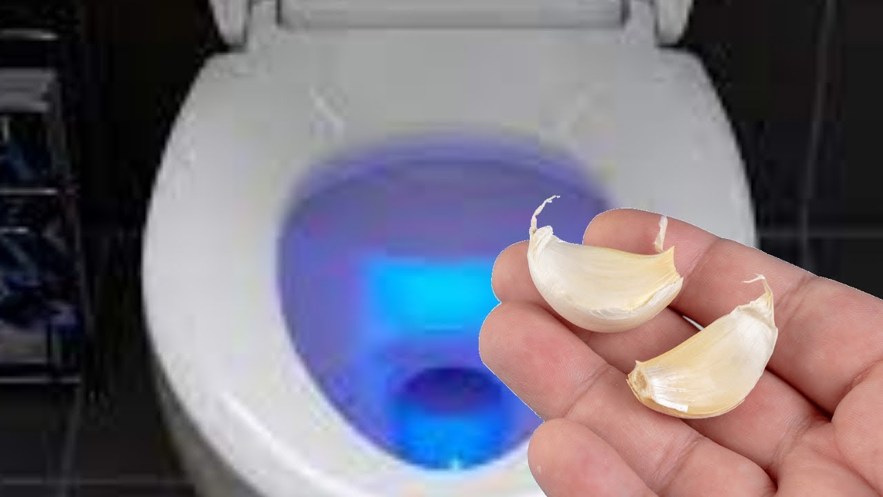 V&igrave; sao ng&agrave;y c&agrave;ng nhiều gia đ&igrave;nh th&iacute;ch bỏ 1 t&eacute;p tỏi v&agrave;o bồn cầu mỗi đ&ecirc;m? - Ảnh 2.