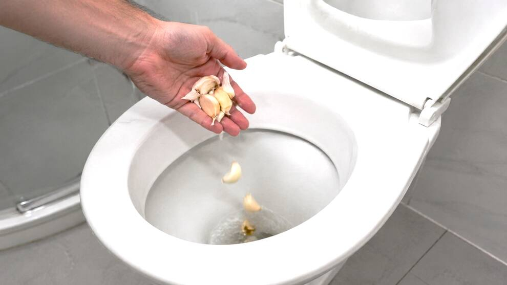 V&igrave; sao ng&agrave;y c&agrave;ng nhiều gia đ&igrave;nh th&iacute;ch bỏ 1 t&eacute;p tỏi v&agrave;o bồn cầu mỗi đ&ecirc;m? - Ảnh 3.