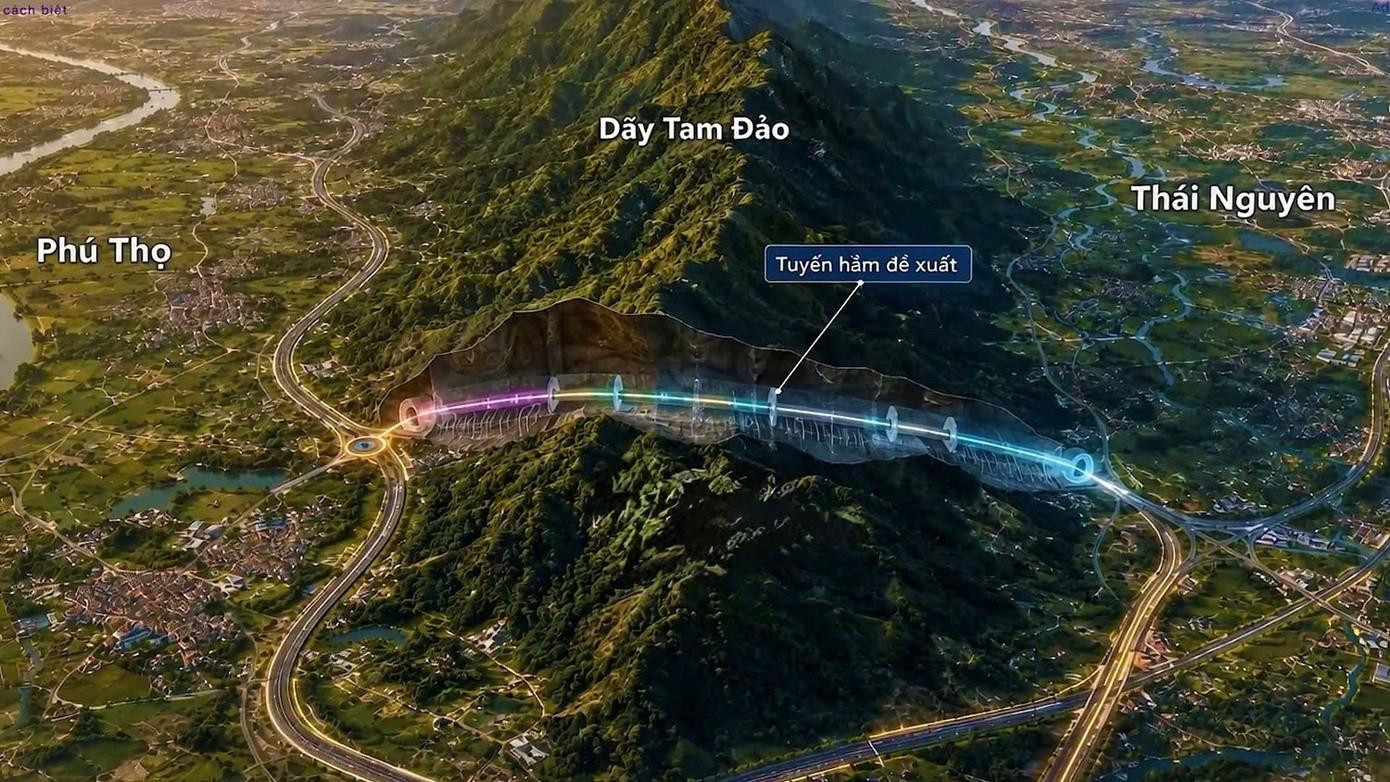 Tập đoàn Đèo Cả đề xuất làm hầm đường bộ Tam Đảo - Ảnh 1.