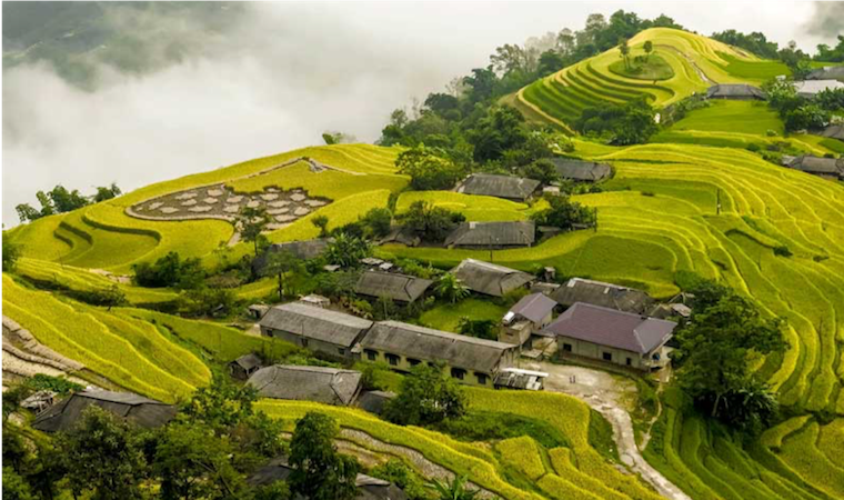 Việt Nam vươn lên thứ 4 trong điểm đến châu Á được du khách châu Âu tìm kiếm hè 2026 - Ảnh 1. Việt Nam vươn lên thứ 4 trong điểm đến châu Á được du khách châu Âu tìm kiếm hè 2026 - Ảnh 1.