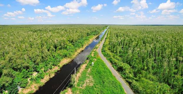 Việt Nam c&oacute; khu rừng thuộc dạng hiếm bậc nhất thế giới, chia đ&ocirc;i bởi 1 d&ograve;ng s&ocirc;ng, 3 tổ chức c&ugrave;ng vinh danh - Ảnh 1.