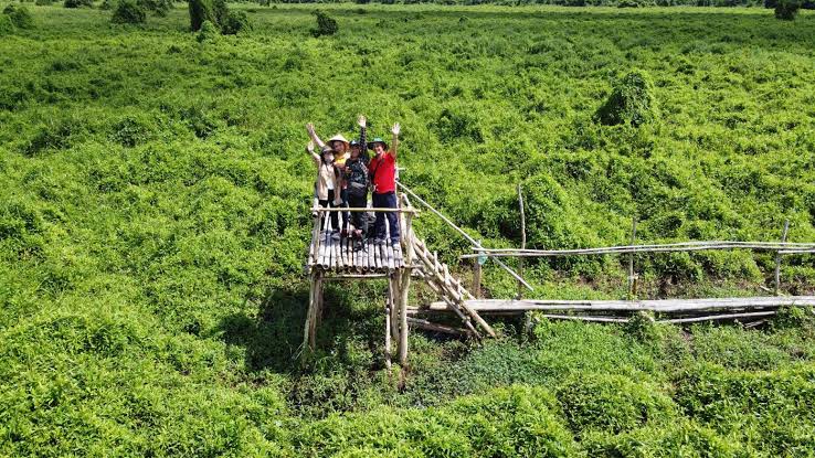 Việt Nam c&oacute; khu rừng thuộc dạng hiếm bậc nhất thế giới, chia đ&ocirc;i bởi 1 d&ograve;ng s&ocirc;ng, 3 tổ chức c&ugrave;ng vinh danh - Ảnh 5.
