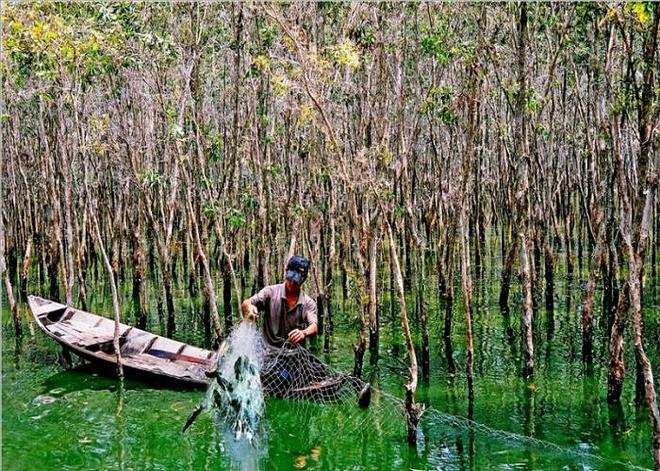 Việt Nam c&oacute; khu rừng thuộc dạng hiếm bậc nhất thế giới, chia đ&ocirc;i bởi 1 d&ograve;ng s&ocirc;ng, 3 tổ chức c&ugrave;ng vinh danh - Ảnh 6.