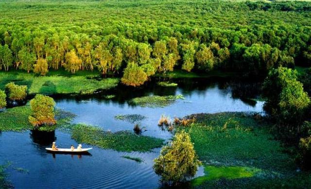 Việt Nam c&oacute; khu rừng thuộc dạng hiếm bậc nhất thế giới, chia đ&ocirc;i bởi 1 d&ograve;ng s&ocirc;ng, 3 tổ chức c&ugrave;ng vinh danh - Ảnh 4.