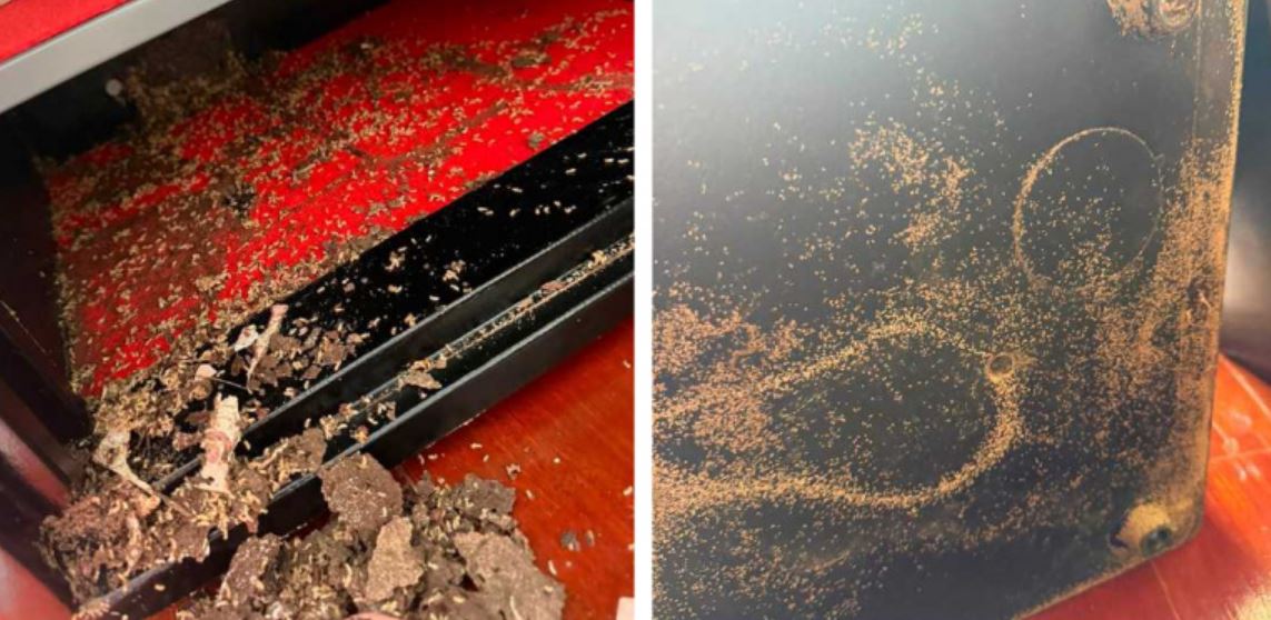 Cất tiền trong k&eacute;t sắt, người phụ nữ "su&yacute;t ngất" trước cảnh tượng đ&aacute;ng sợ b&ecirc;n trong - Ảnh 1.