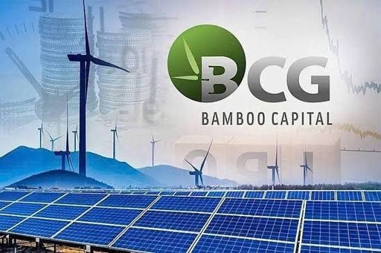 Bamboo Capital bị huỷ tư c&aacute;ch c&ocirc;ng ty đại ch&uacute;ng - Ảnh 1.