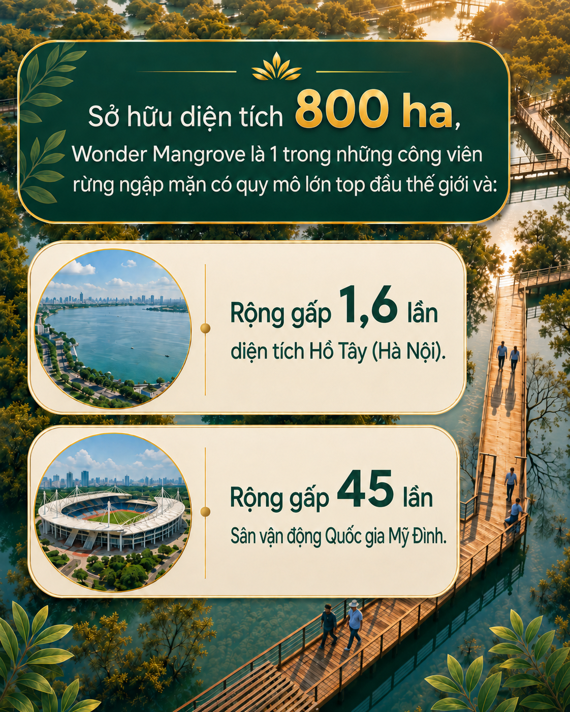 Việt Nam sẽ có công viên câu cá rừng ngập mặn hiếm có trên thế giới, rộng gấp 45 lần sân Mỹ Đình - Ảnh 1.