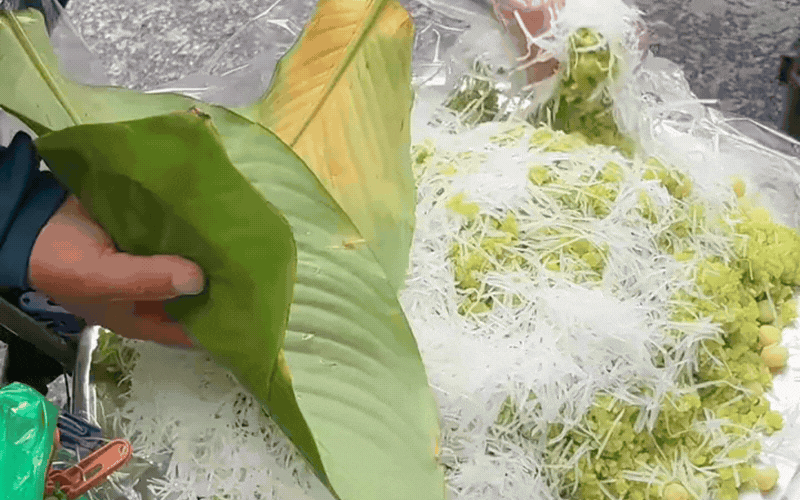 Kh&aacute;ch Trung Quốc y&ecirc;u th&iacute;ch thức qu&agrave; m&ugrave;a thu H&agrave; Nội - Ảnh 1.