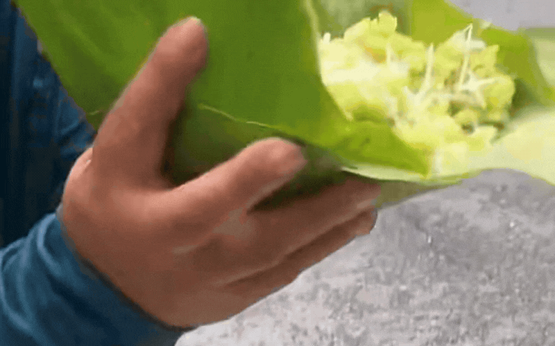 Kh&aacute;ch Trung Quốc y&ecirc;u th&iacute;ch thức qu&agrave; m&ugrave;a thu H&agrave; Nội - Ảnh 3.