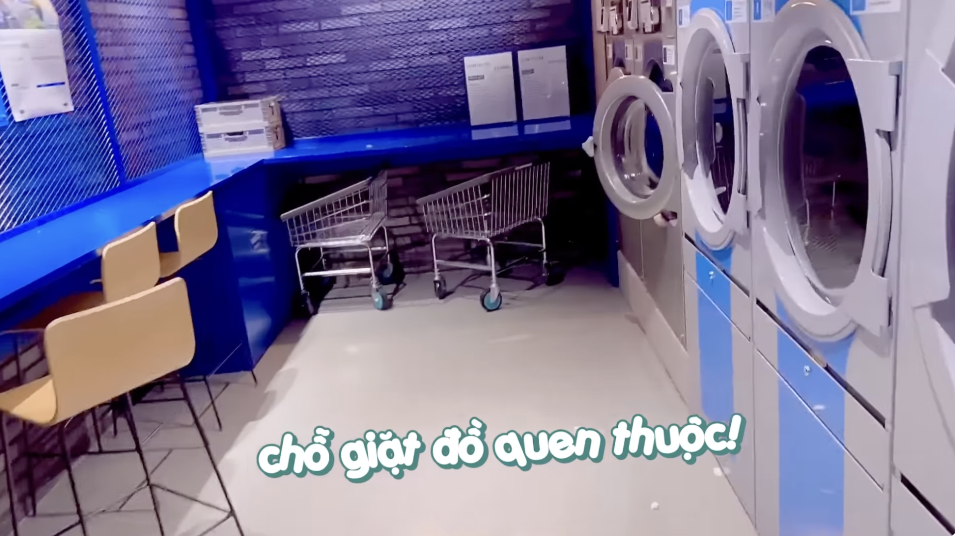  - Ảnh 5.