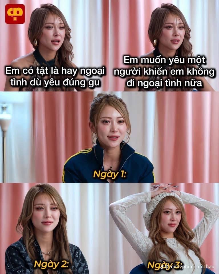  - Ảnh 11.
