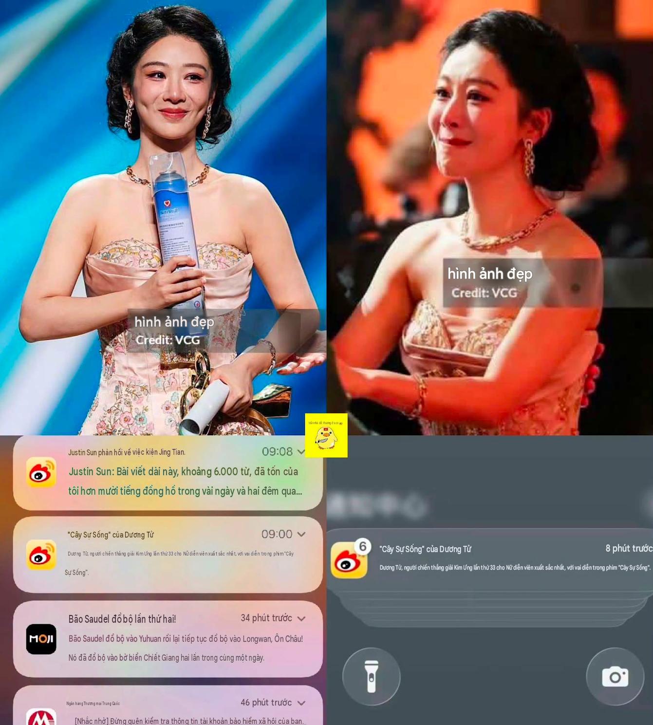  - Ảnh 2.