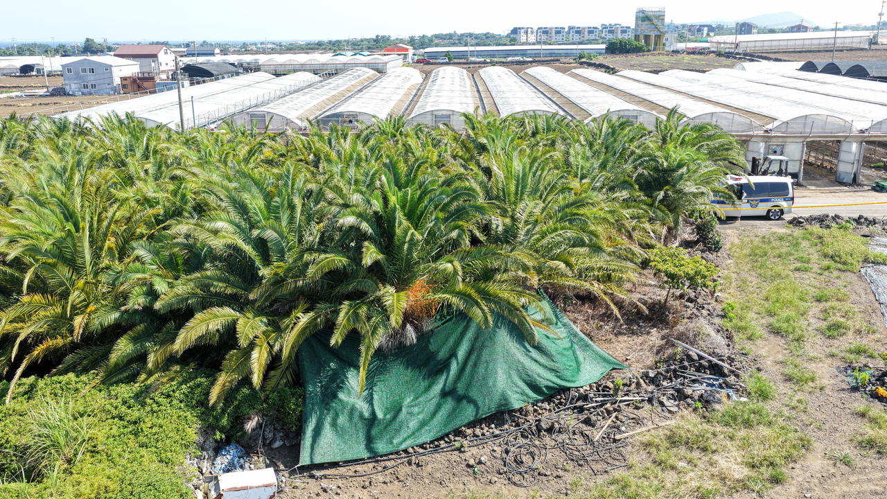 Cảnh sát thông báo thông tin điều tra mới vụ thi thể mất tích tại Jeju - Ảnh 1. Cảnh sát thông báo thông tin điều tra mới vụ thi thể mất tích tại Jeju - Ảnh 1.