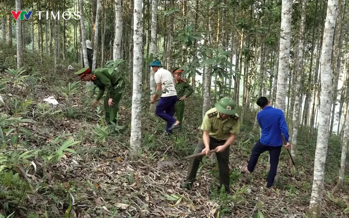 - Ảnh 1.