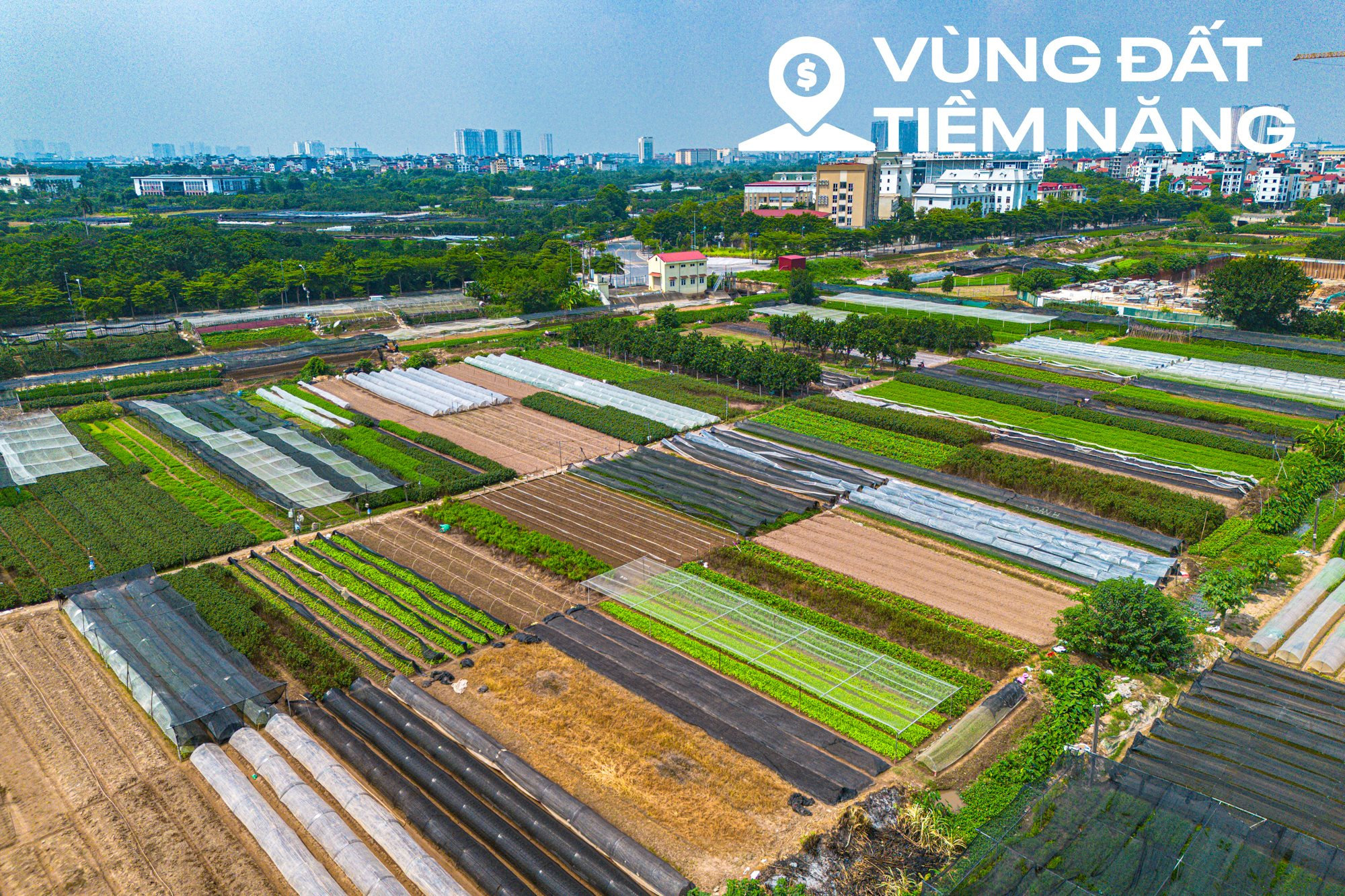 To&agrave;n cảnh dự &aacute;n c&ocirc;ng vi&ecirc;n c&ocirc;ng nghệ trị gi&aacute; 2 tỷ USD của FPT: Rộng gấp 2 lần phố cổ H&agrave; Nội, sẽ l&agrave; nơi l&agrave;m việc của 75.000 người - Ảnh 1.