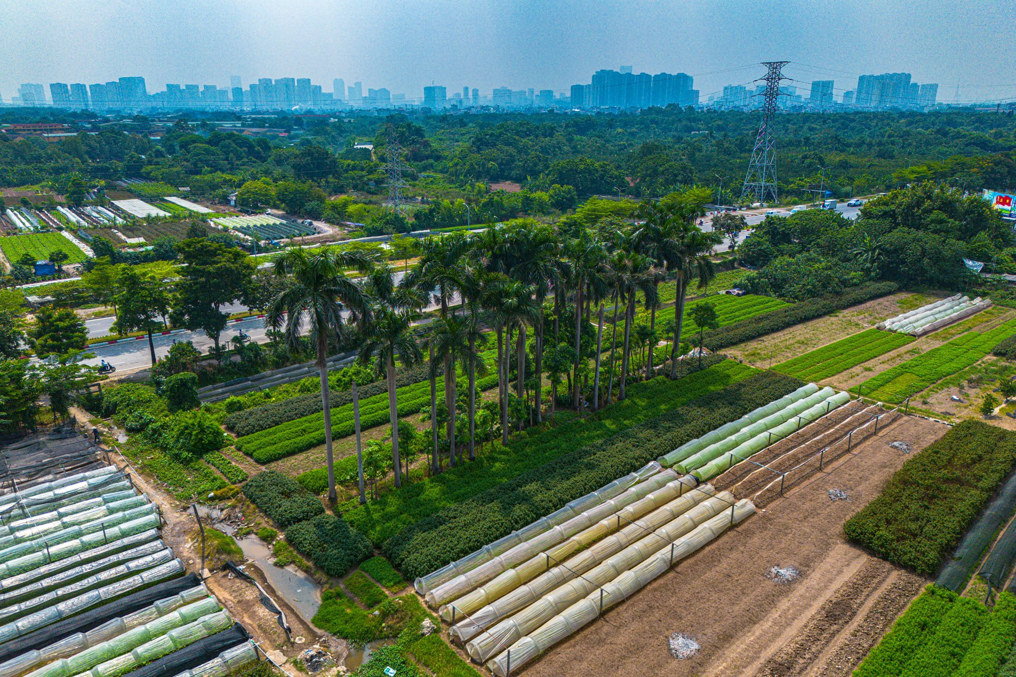 To&agrave;n cảnh dự &aacute;n c&ocirc;ng vi&ecirc;n c&ocirc;ng nghệ trị gi&aacute; 2 tỷ USD của FPT: Rộng gấp 2 lần phố cổ H&agrave; Nội, sẽ l&agrave; nơi l&agrave;m việc của 75.000 người - Ảnh 7.