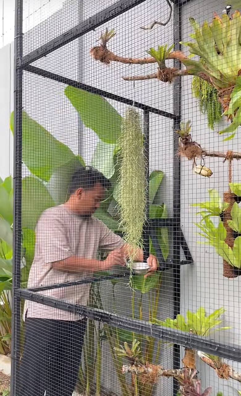 Căn nh&agrave; cho chim độc đ&aacute;o của TikToker: Kh&ocirc;ng gian xanh gi&aacute; 6 , 5 triệu đồng - Ảnh 7.