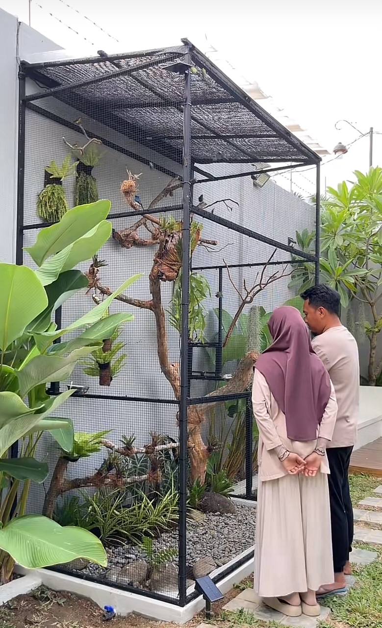 Căn nh&agrave; cho chim độc đ&aacute;o của TikToker: Kh&ocirc;ng gian xanh gi&aacute; 6 , 5 triệu đồng - Ảnh 9.